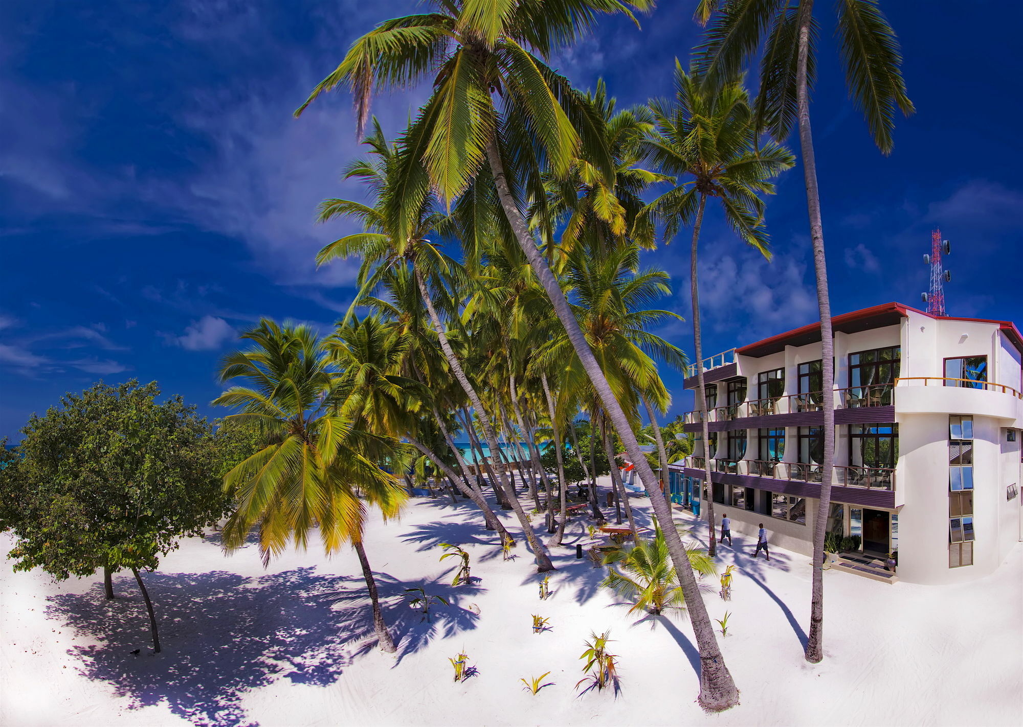 Maldives beach hotel 3. Отель Kaani Beach Hotel Мальдивы. Маафуши, Южный Мале Атолл, Мальдивы. Kaani Palm Beach 4 Мальдивы. Kaani Beach Hotel Guest House (Маафуши).